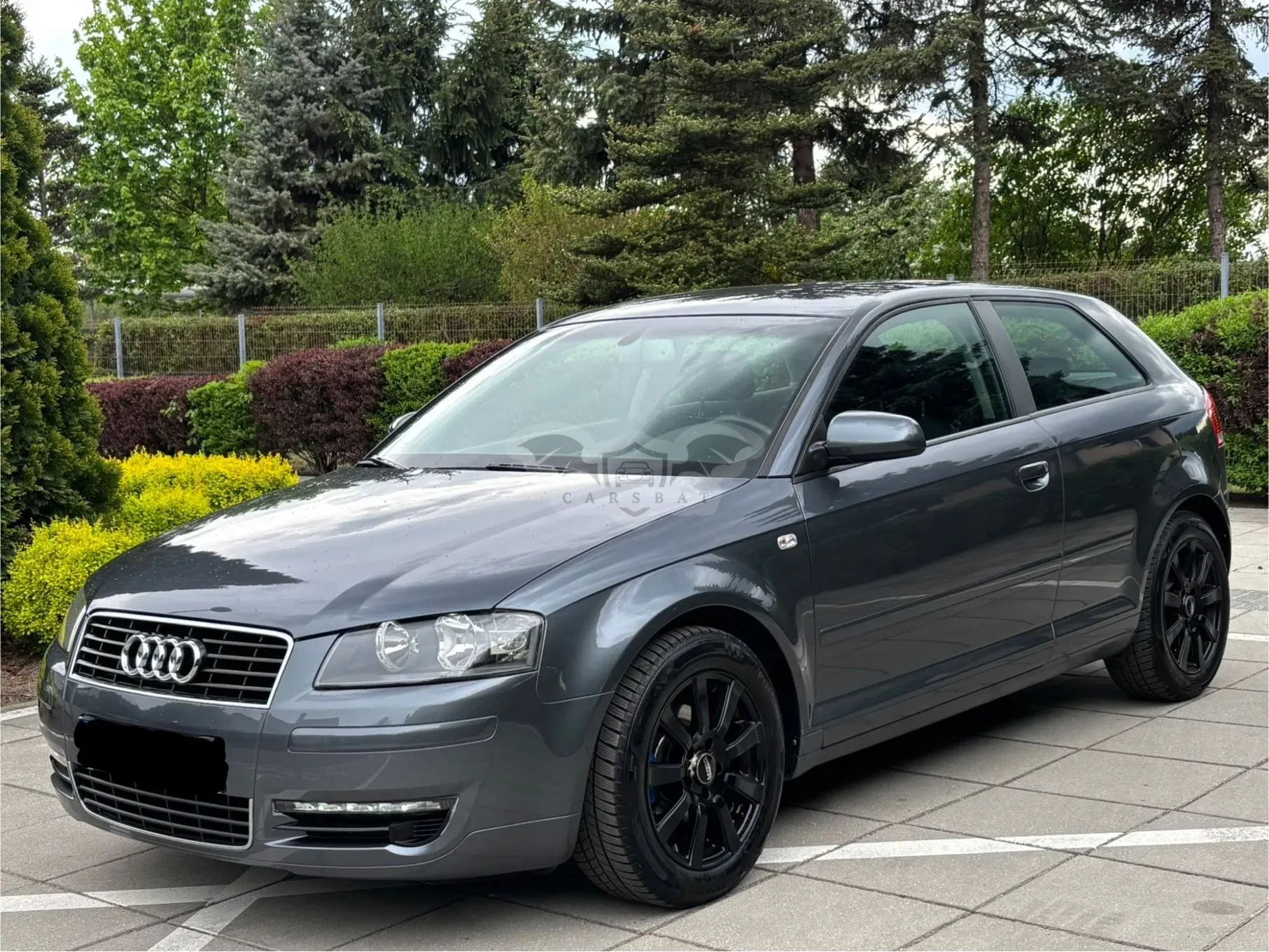 Audi A3 8P 1.6 Ambition 2005