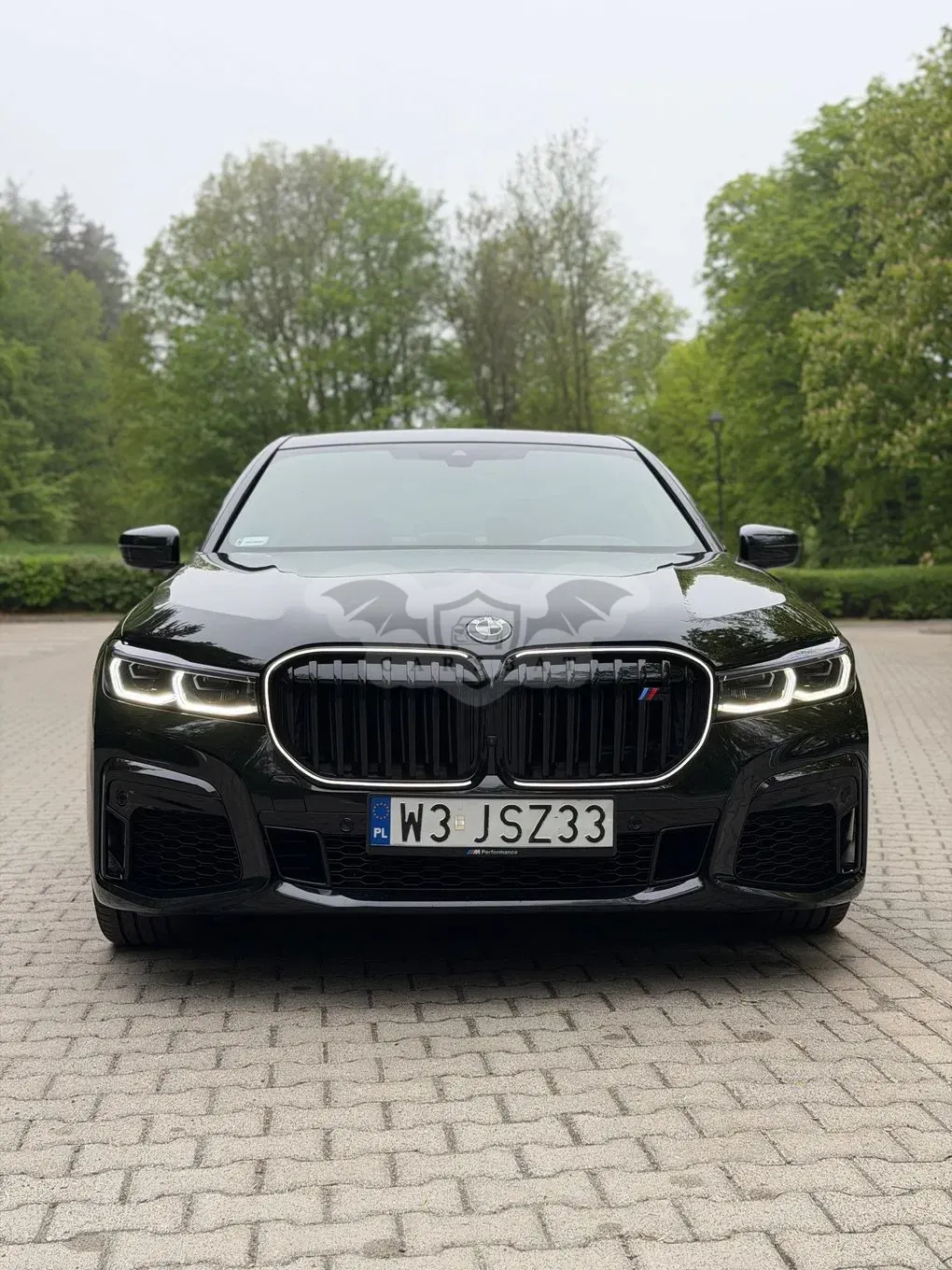 BMW 7 Series G11/12 730d xDrive sport 2019
