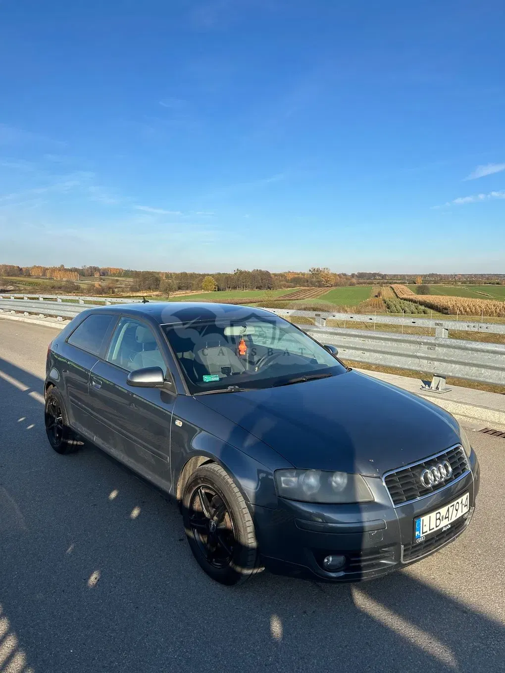 Audi A3 8P 2003