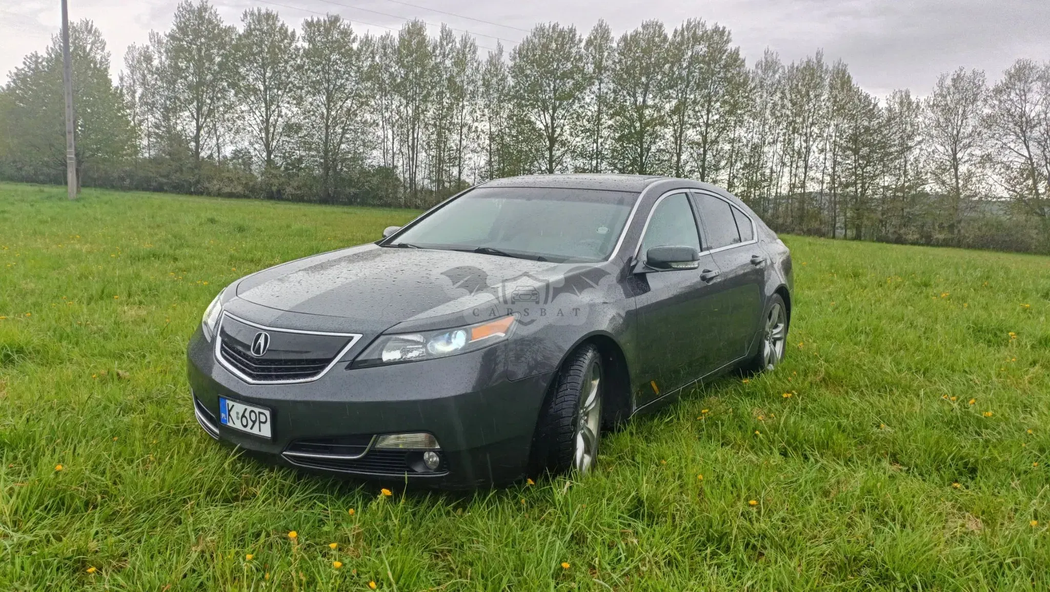 Acura TL 2011