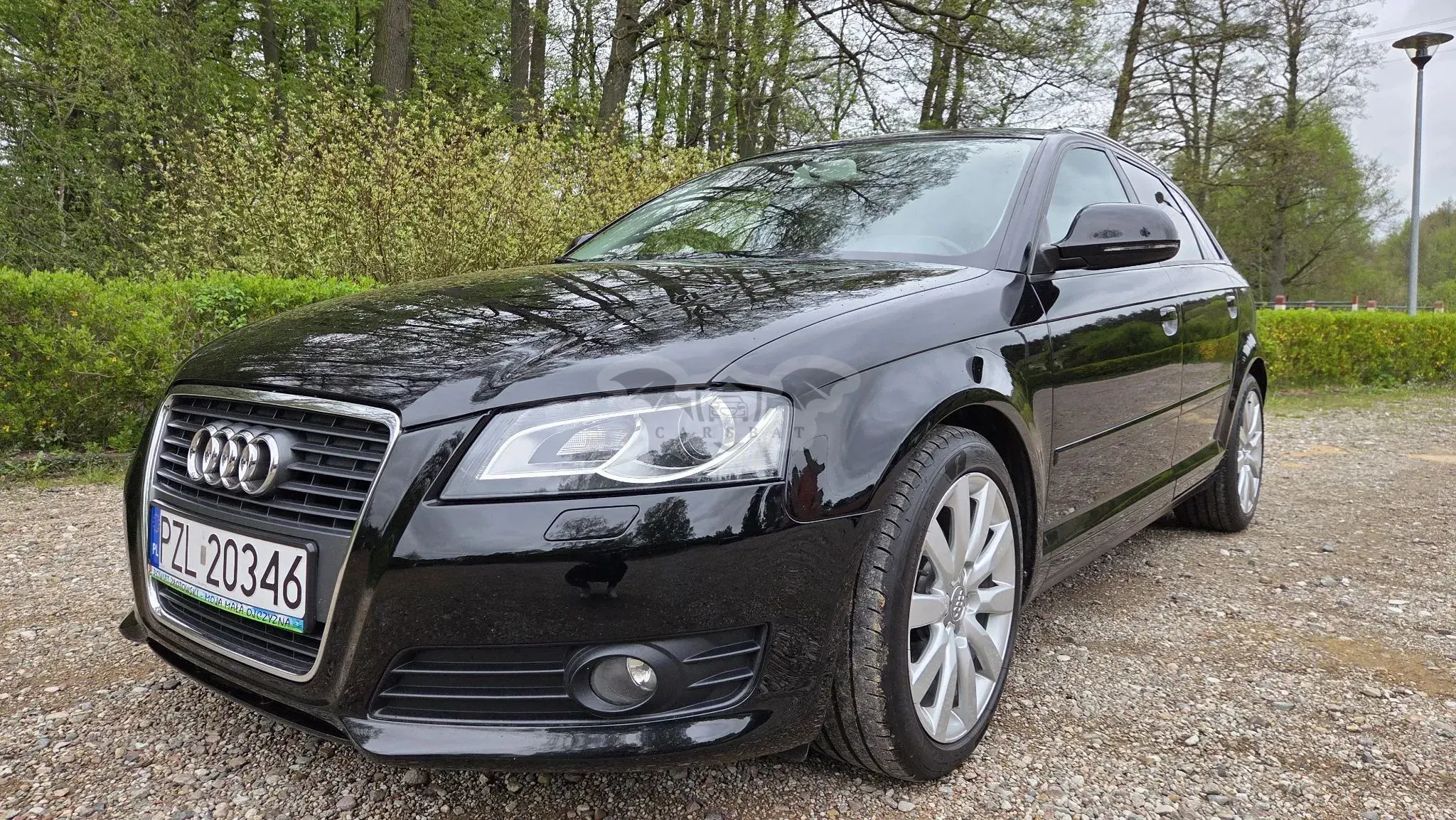 Audi A3 8P 2.0 TDI Ambition 2009