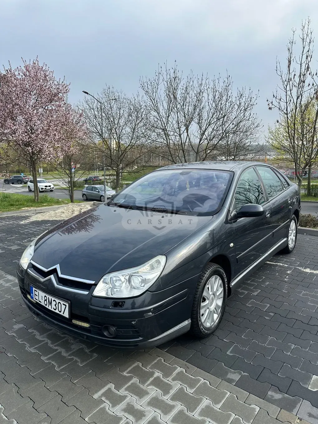 Citroën C5 II 2006