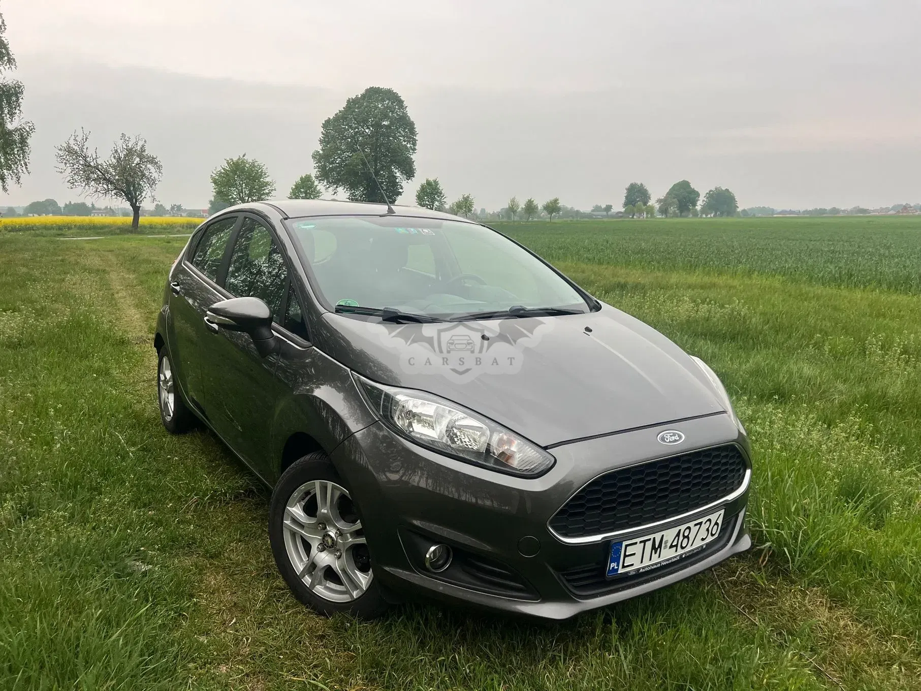 Ford Fiesta Mk7 1.0 Celebration 2016