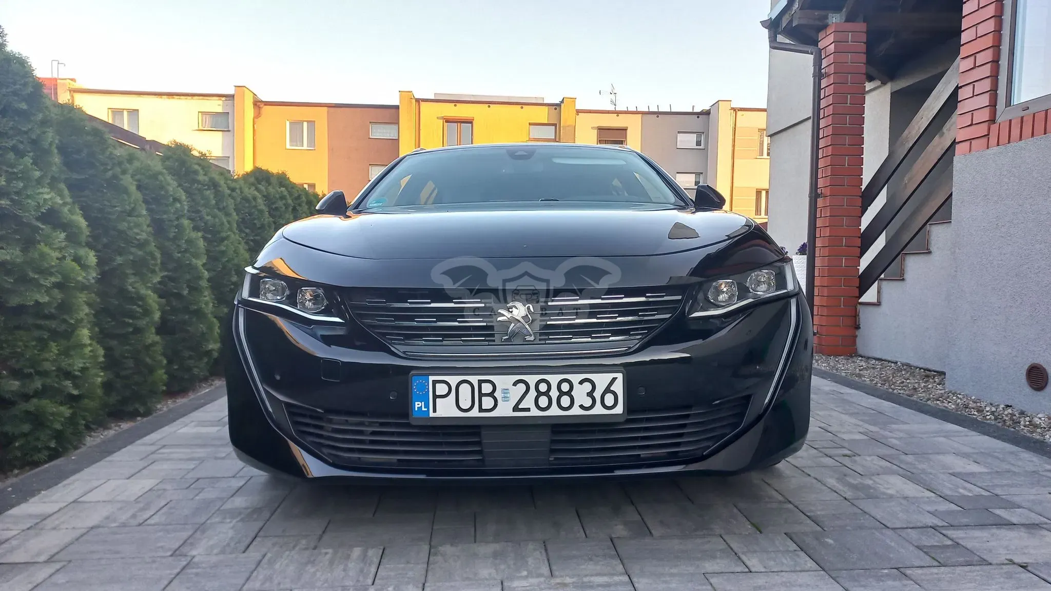 Peugeot 508 II 2019