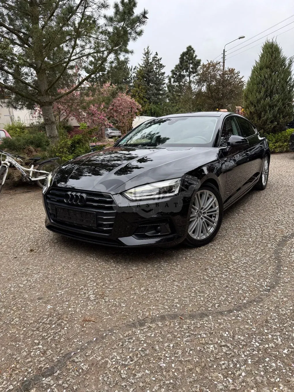 Audi A5 F5 50 TDI quattro tiptronic sport 2019