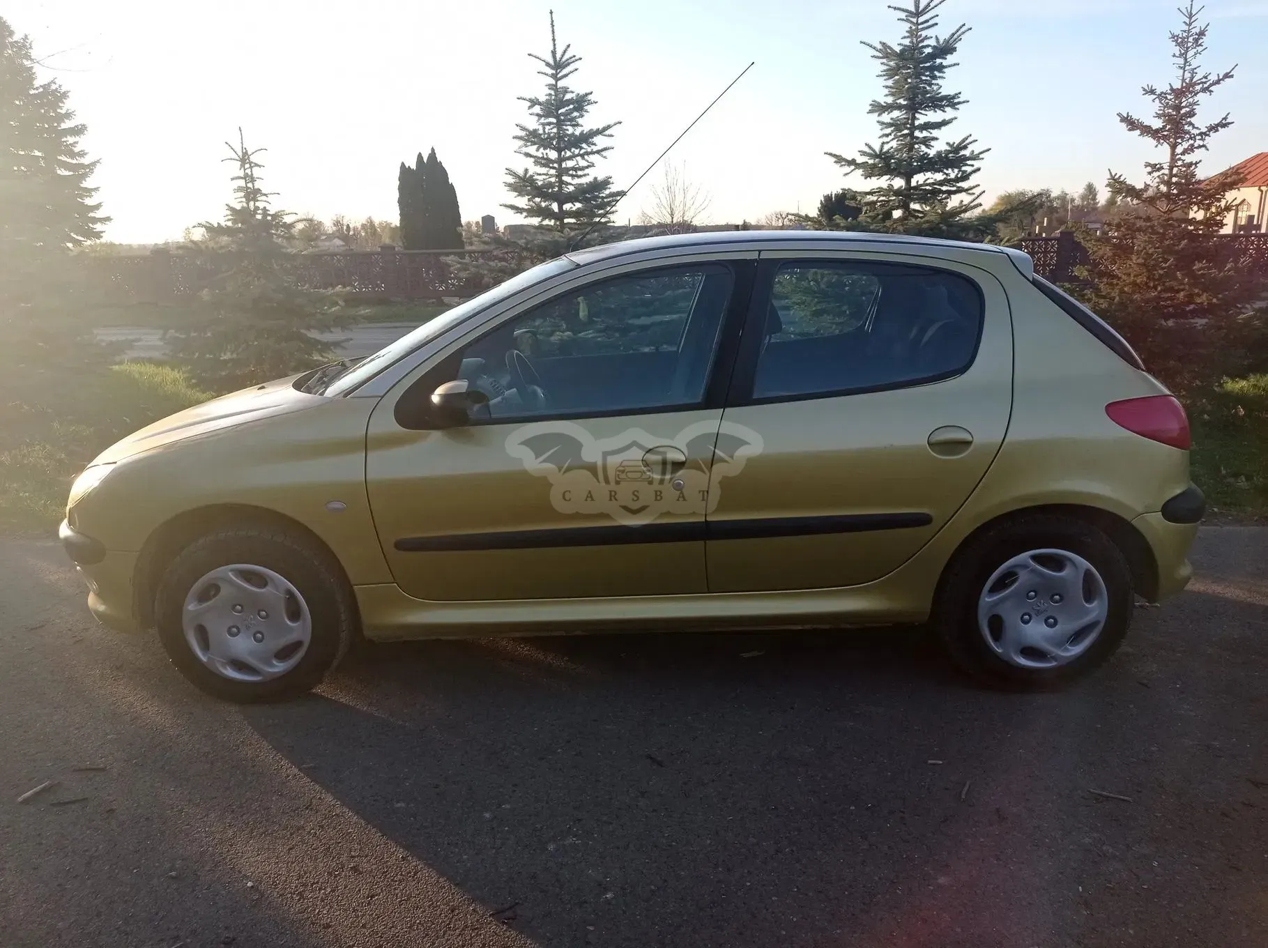 Peugeot 206 1.1 Color-Line 2003