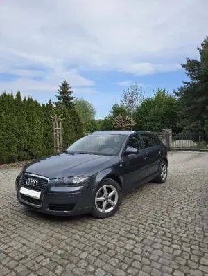 Audi A3 8P 2.0 TDI Ambition S tronic 2006