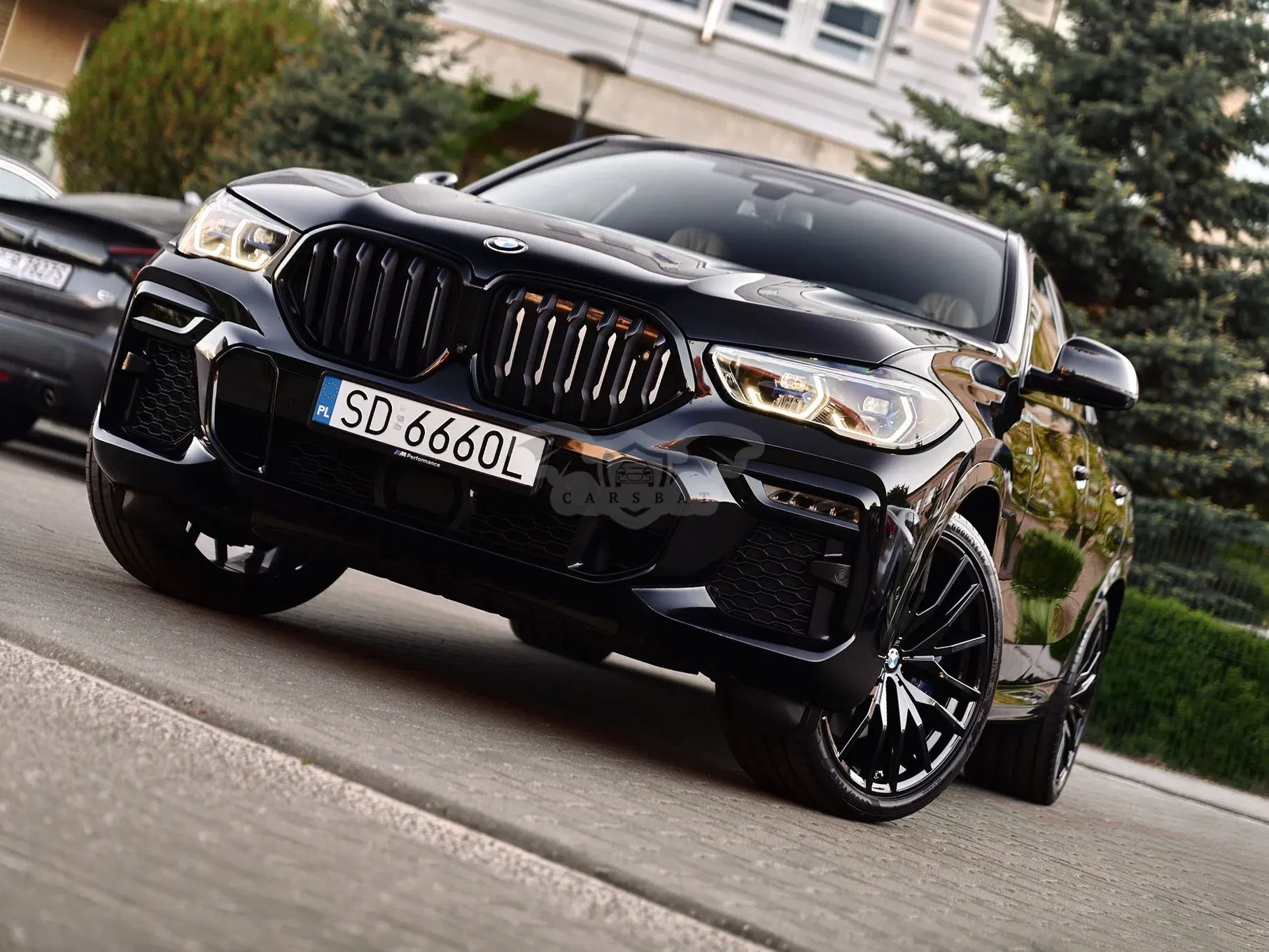 BMW X6 G06 xDrive40d mHEV 2020