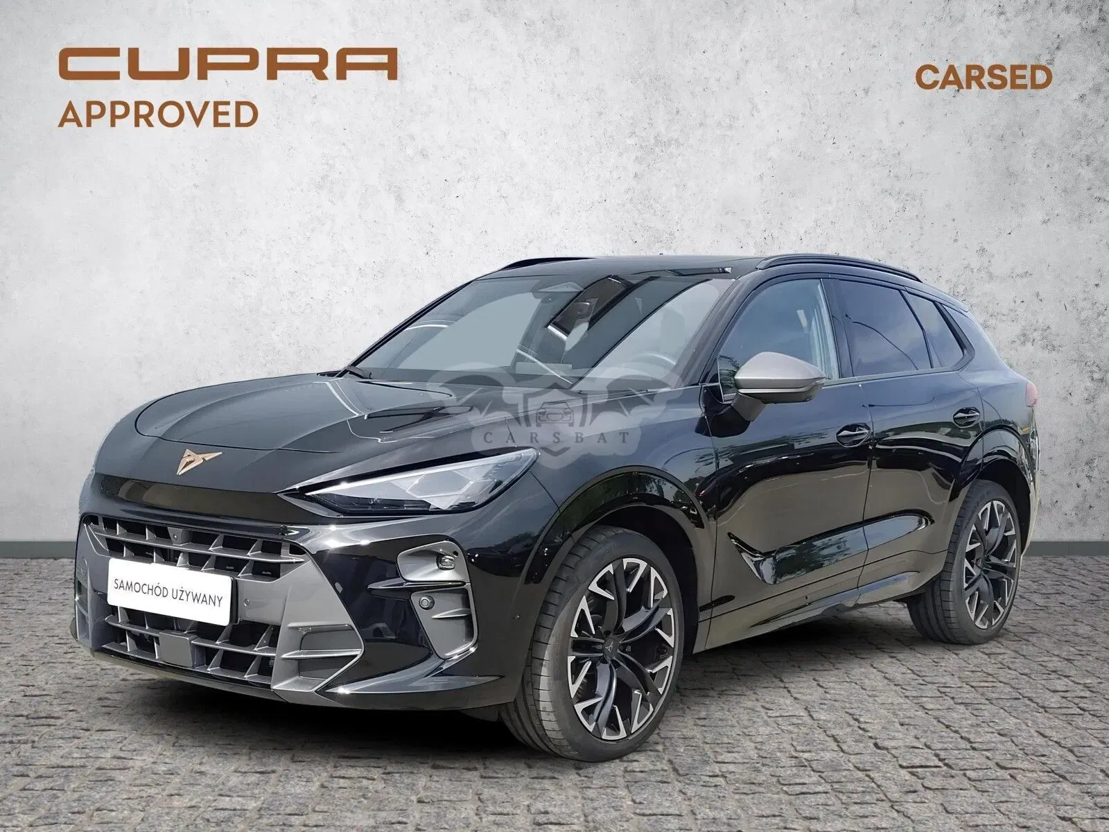 Cupra Terramar 2.0 TSI 4Drive VZ DSG 2025