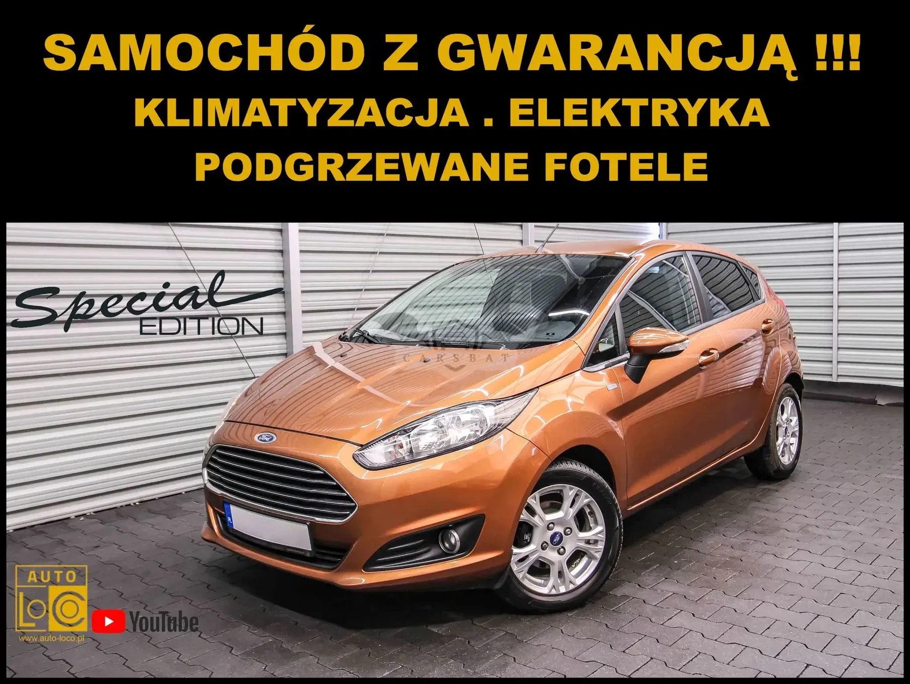 Ford Fiesta Mk7 1.0 EcoBoost Champions Edition 2013