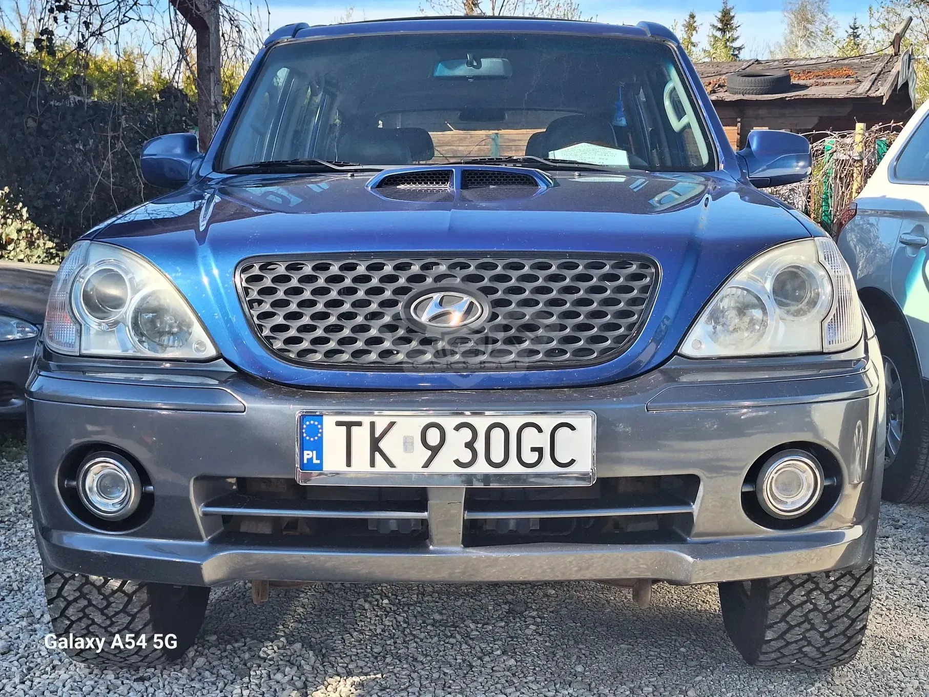 Hyundai Terracan 2002