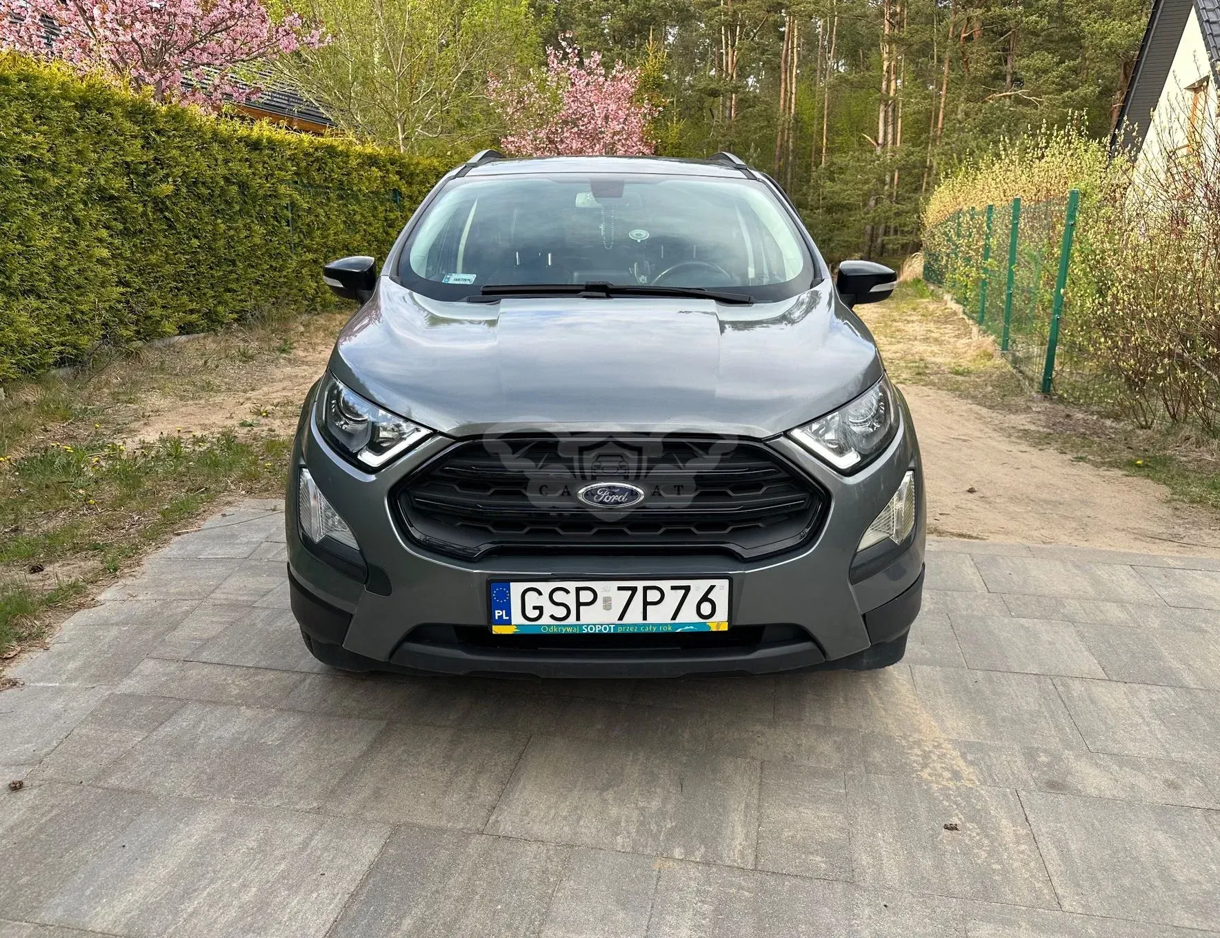 Ford Ecosport 2019