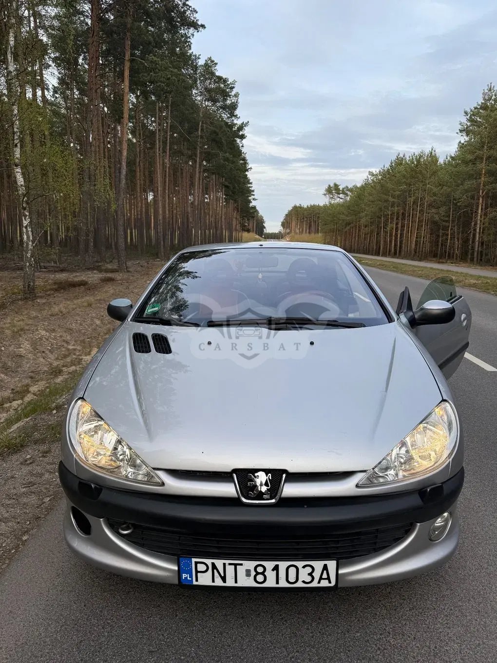 Peugeot 206 2001