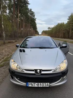 Peugeot 206 2001