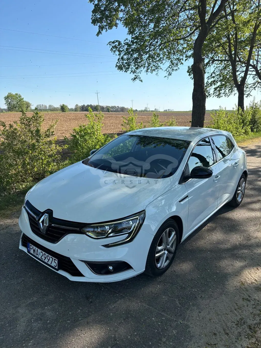 Renault Megane IV BLUE dCi 115 BUSINESS EDITION 2020