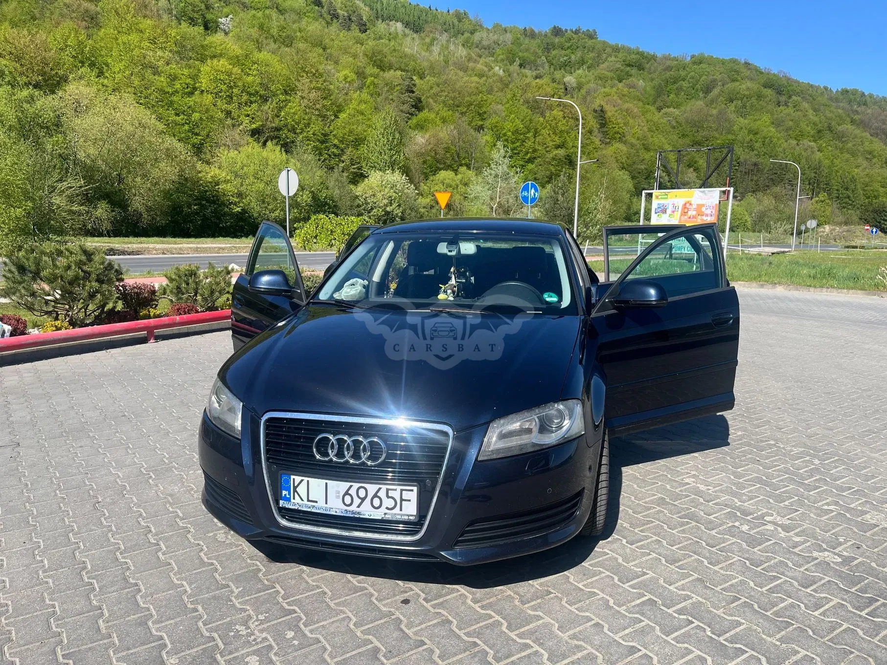 Audi A3 8P 2009