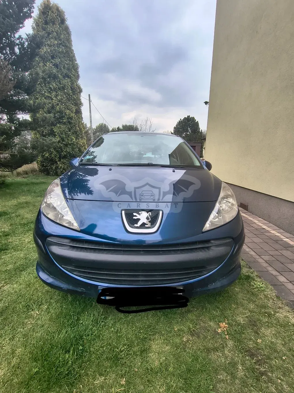 Peugeot 207 1.4 HDi Trendy 2009