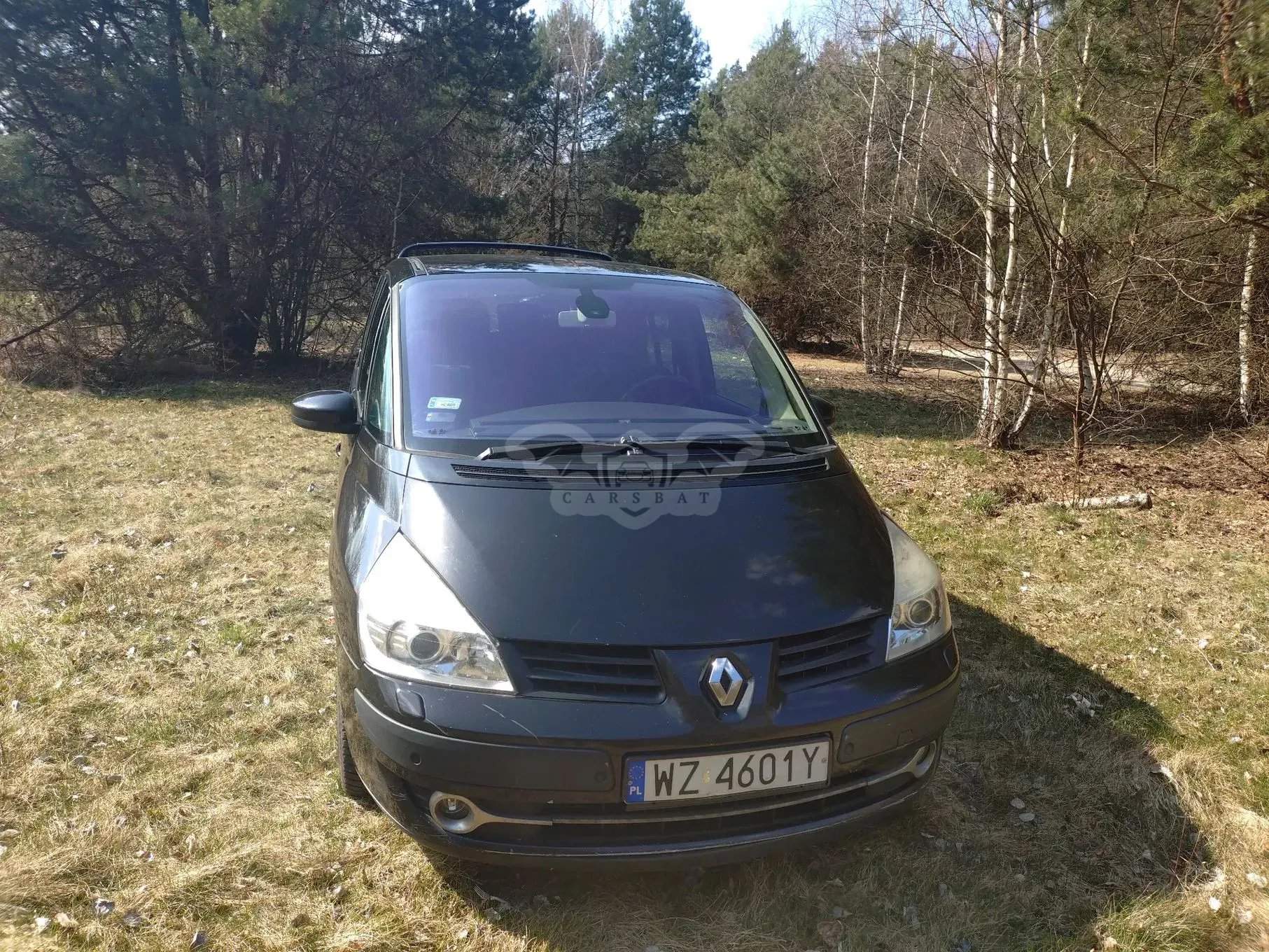 Renault Grand Espace Gr 2.0 dCi Privilege 2007