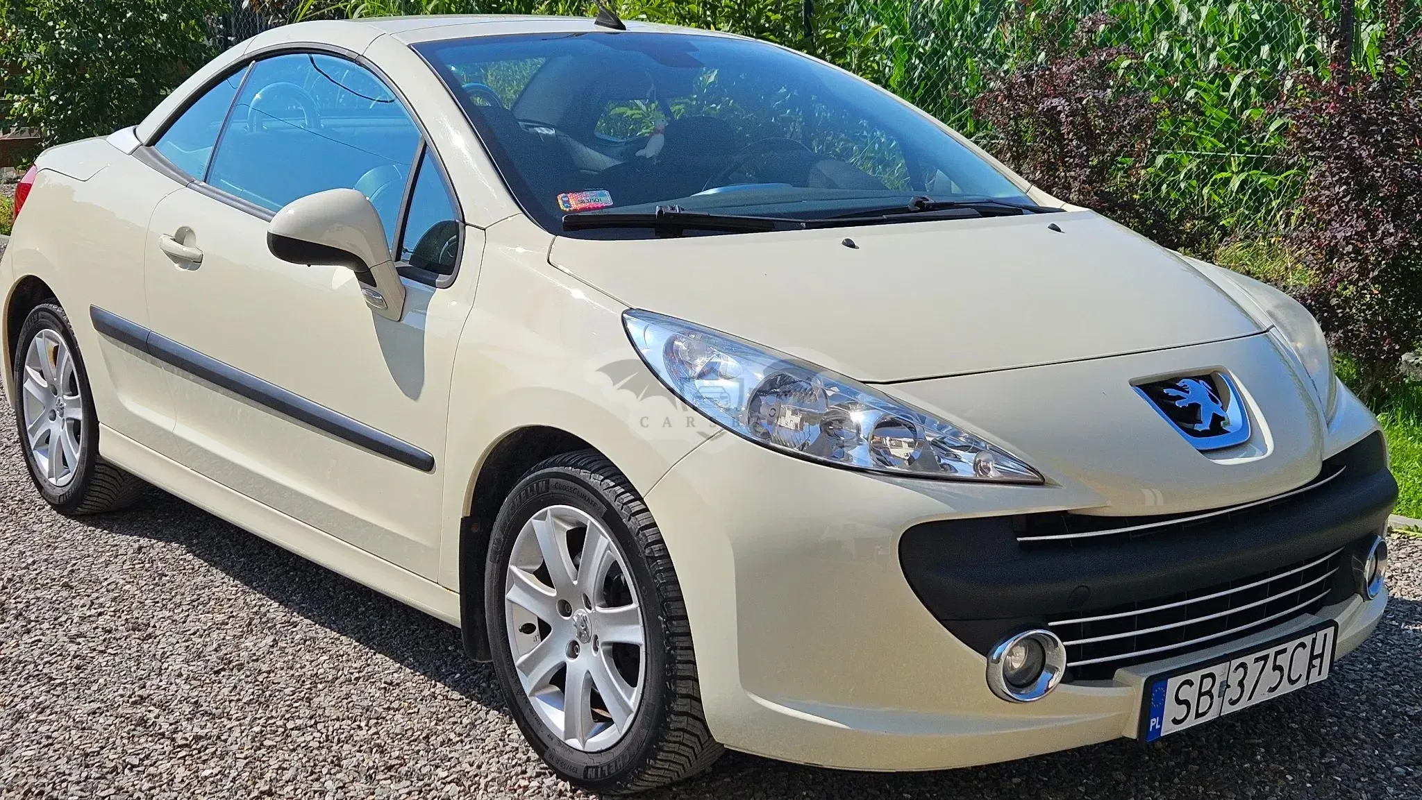 Peugeot 207 2007