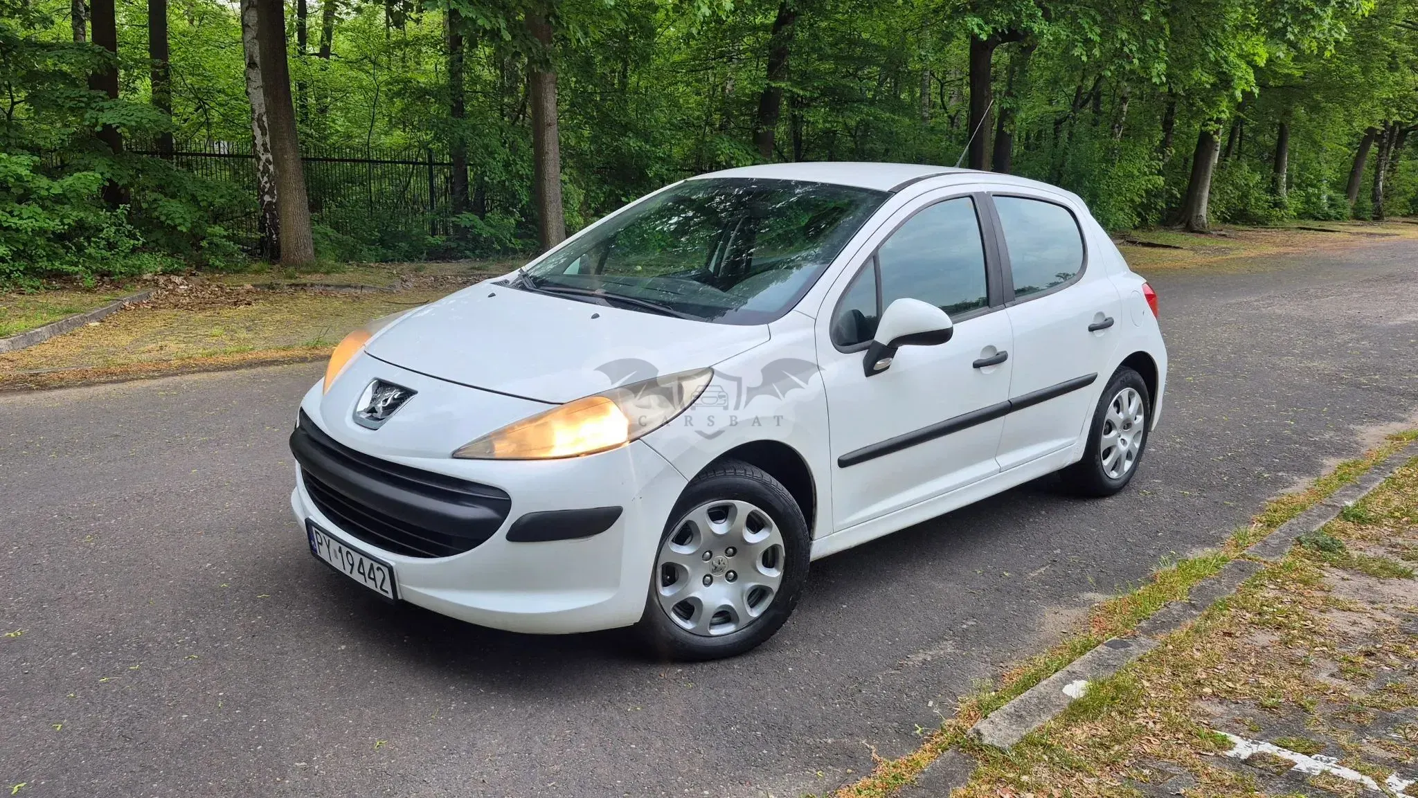 Peugeot 207 1.4 HDi Business Line 2009