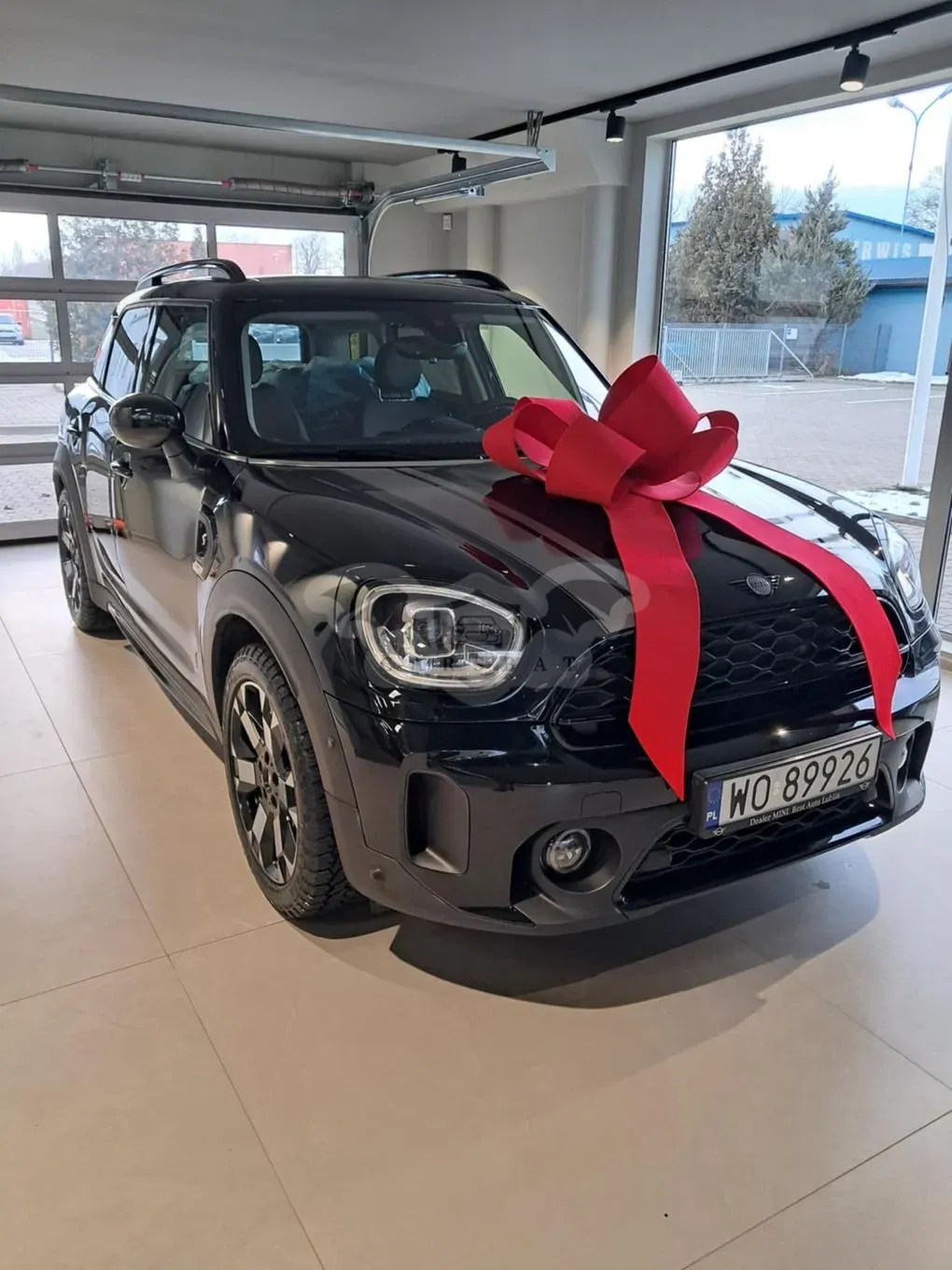 Mini Countryman Cooper S Untamed Edition sport 2021