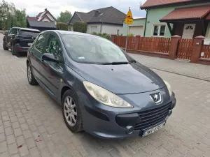 Peugeot 307 II 90 Grand Filou 2005