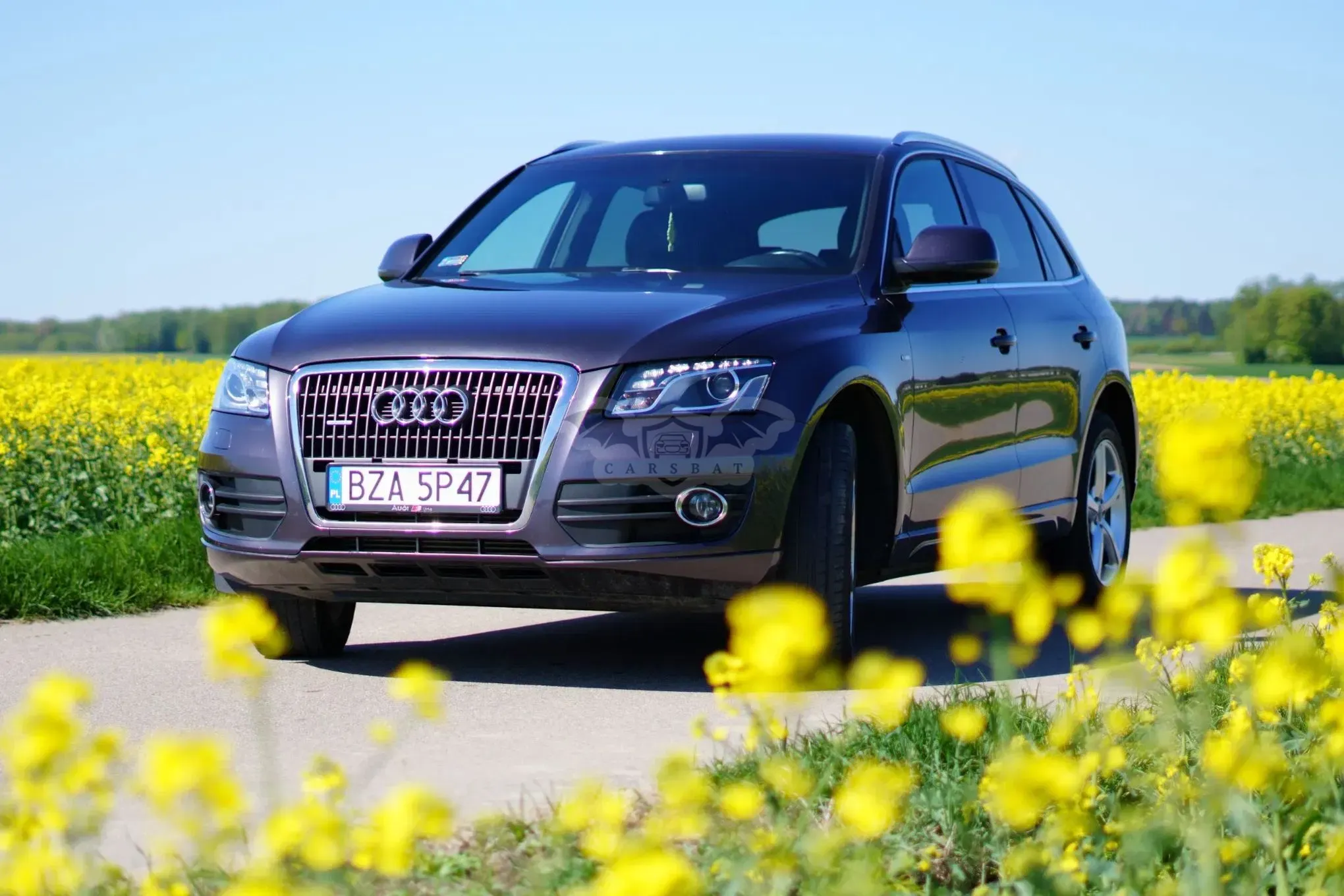 Audi Q5 8R 2.0 TDI Quattro 2011
