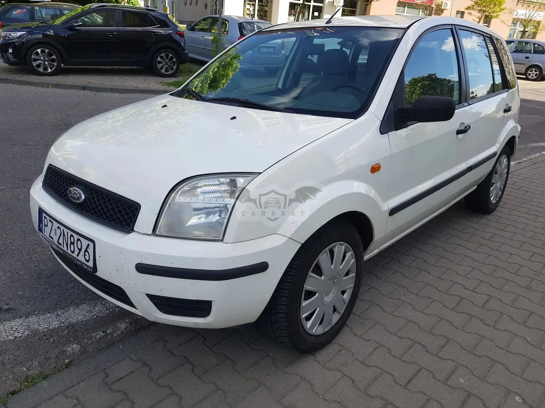 Ford Fusion 1.4 TDCI Ambiente 2004