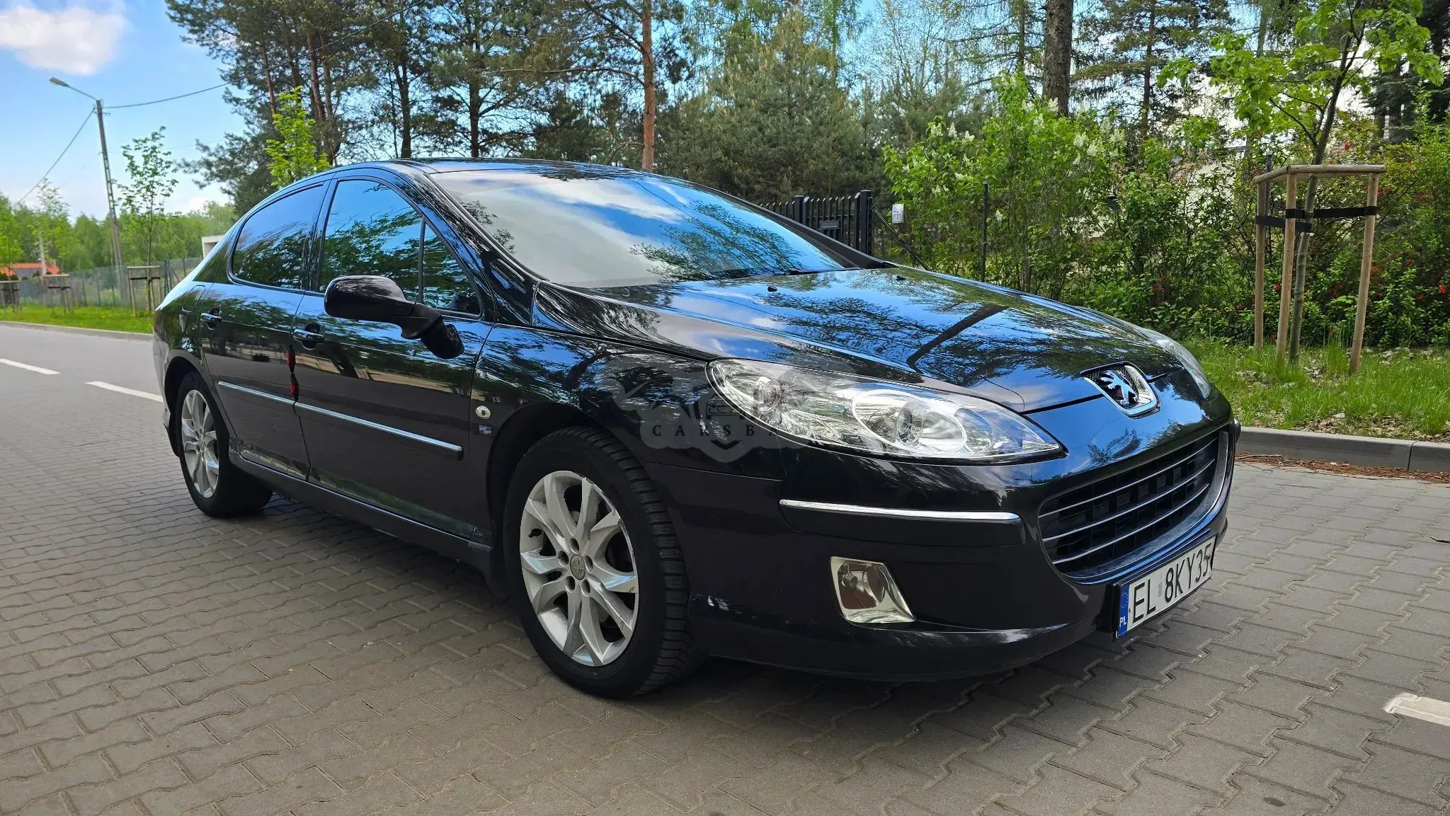 Peugeot 407 2.2 HDI Platinum 2006