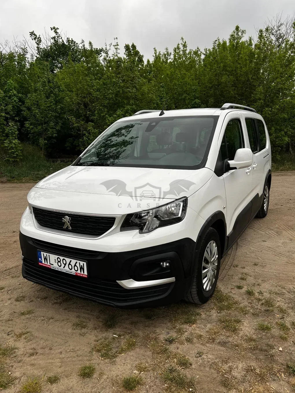 Peugeot Rifter Long 1.5 BlueHDI Active Pack S&S 2019