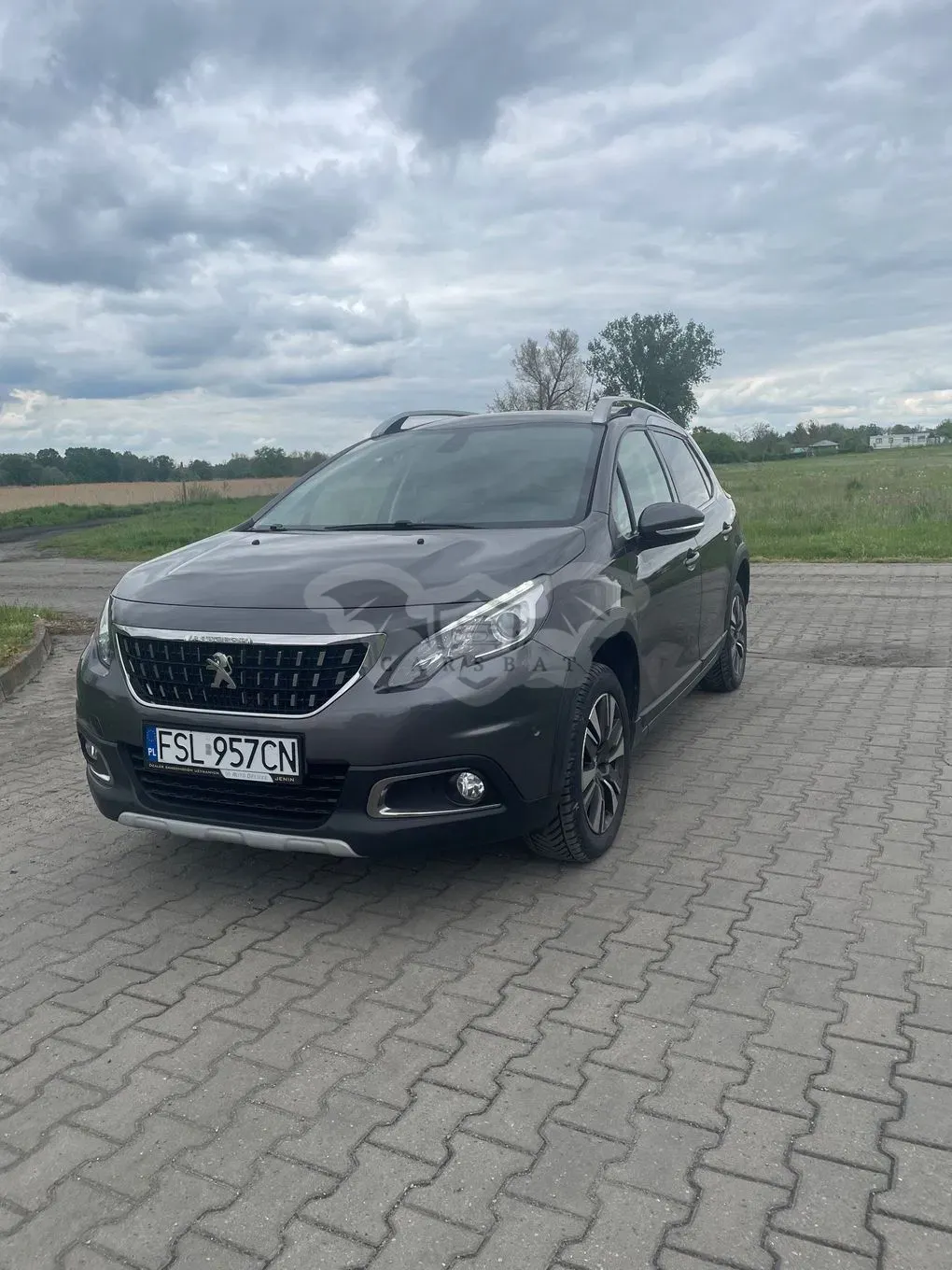 Peugeot 2008 II 2019