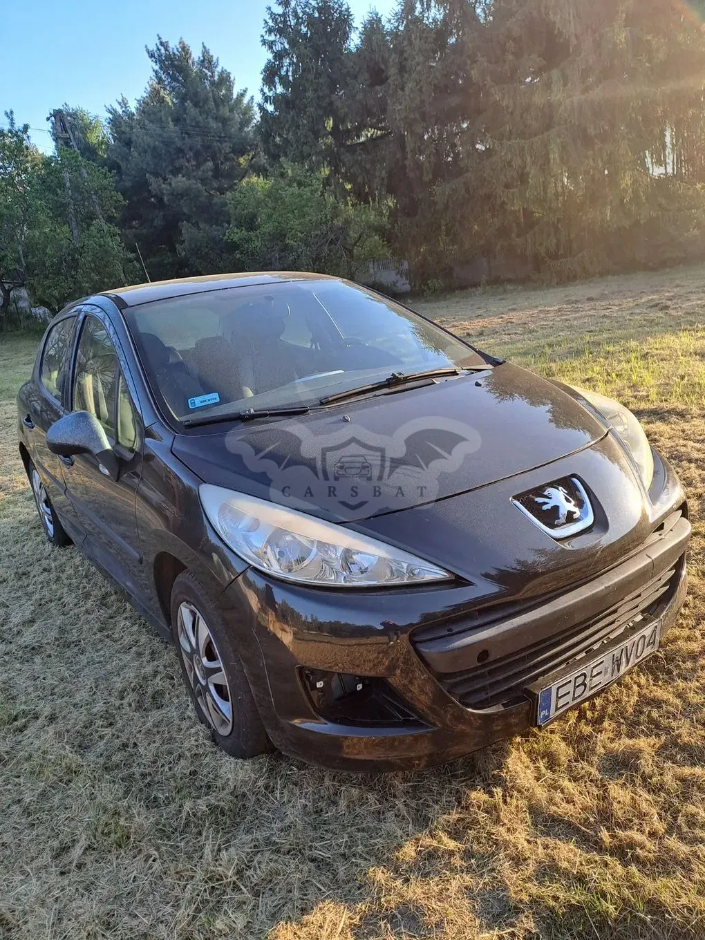 Peugeot 207 1.6 HDi 2009