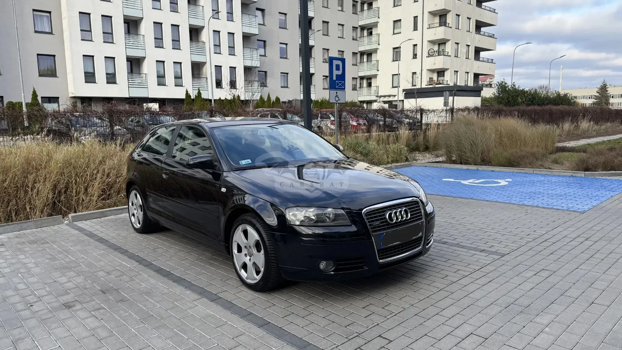 Audi A3 8P 2.0 TFSI quattro Ambition 2005