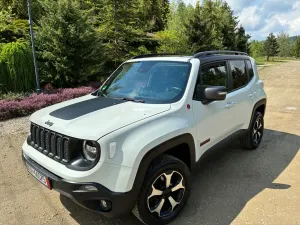 Jeep Renegade 2.0 MultiJet Active Drive Low Automatik Trailhawk 2019
