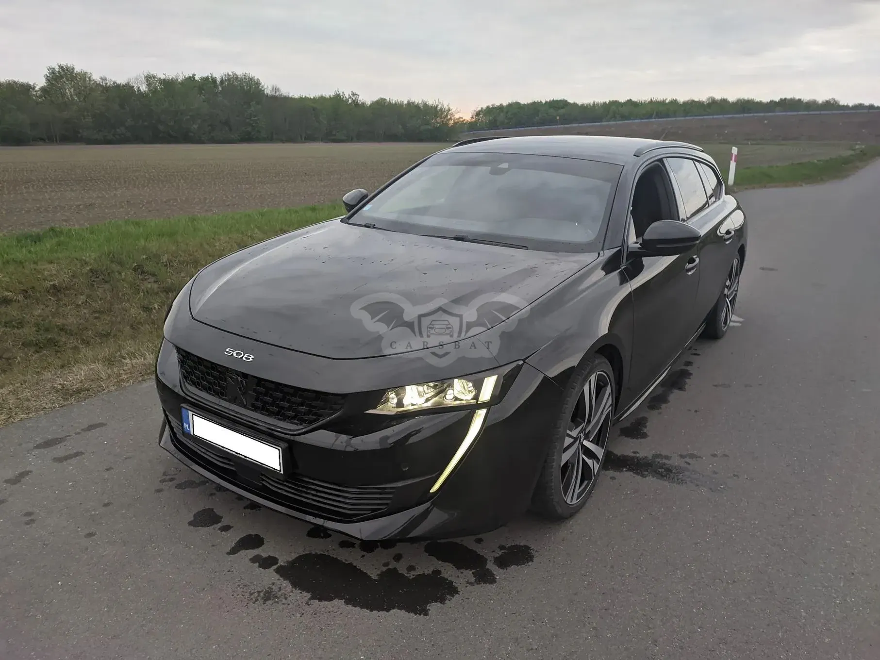 Peugeot 508 II 2.0 BlueHDi GT S&S EAT8 2019