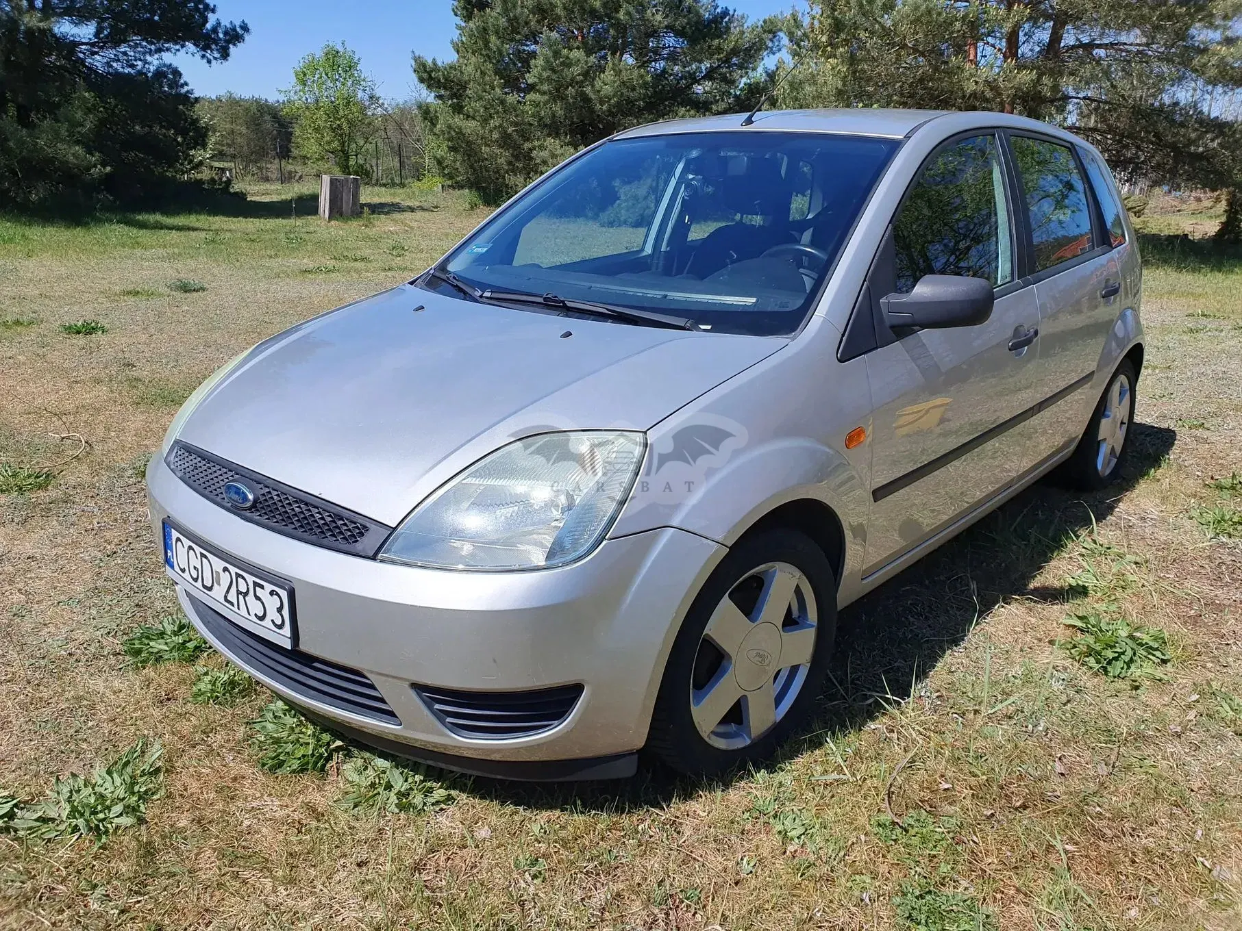 Ford Fiesta Mk6 1.3 2005