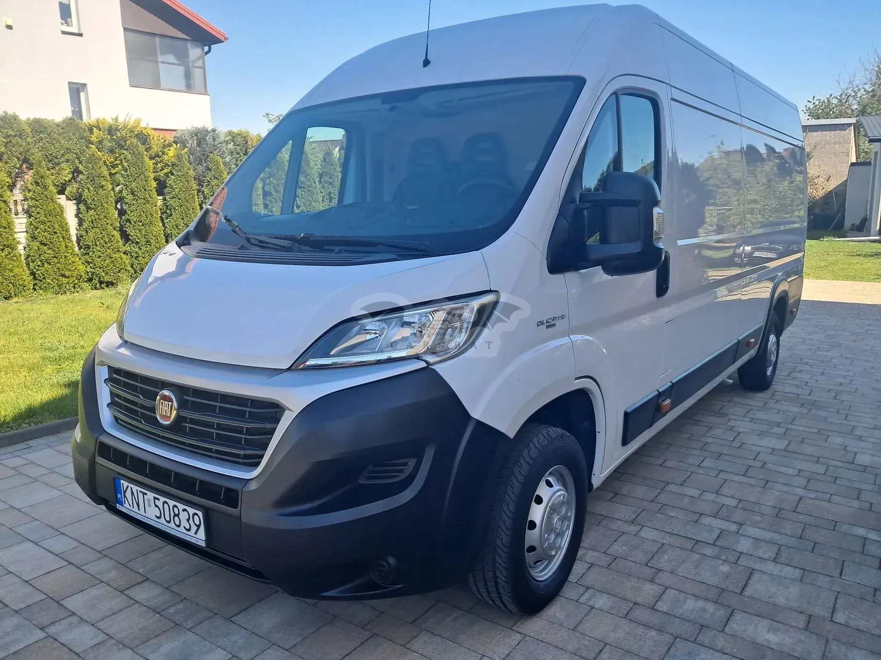 Fiat Ducato 2019