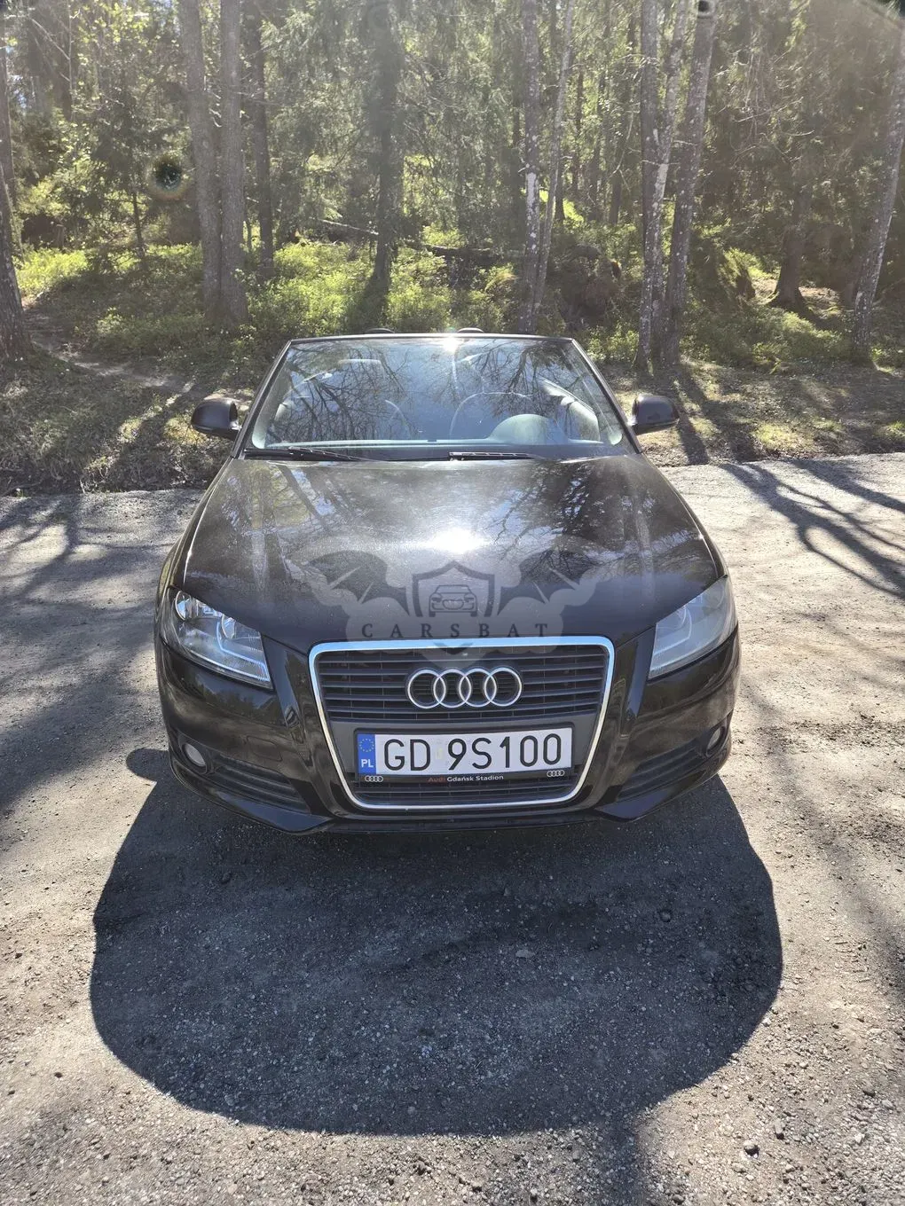 Audi A3 8P 1.8 TFSI Attraction 2008