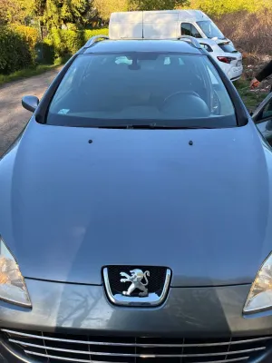Peugeot 407 2009