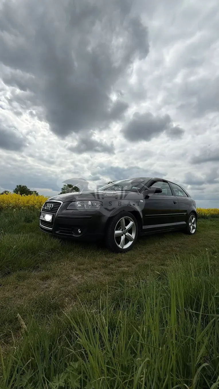 Audi A3 8P 1.9 TDI DPF S Line Sportpaket plus 2007