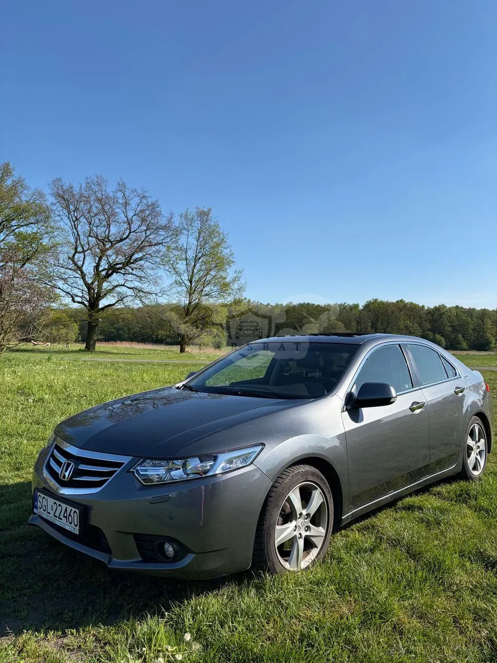 Honda Accord VIII 2.0 Executive 2012