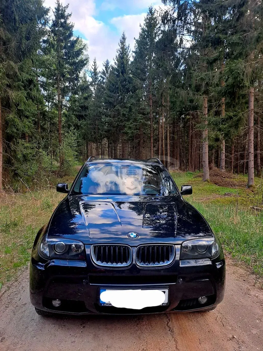 BMW X3 E83 xDrive30d 2006