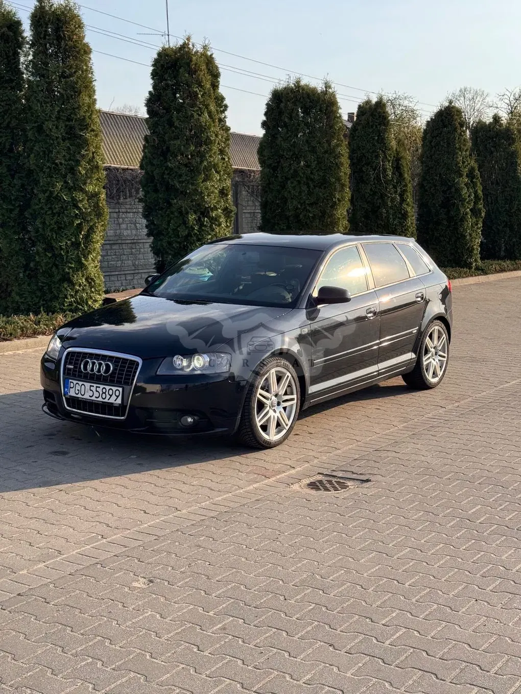 Audi A3 8P 2.0 TDI DPF Ambiente 2007