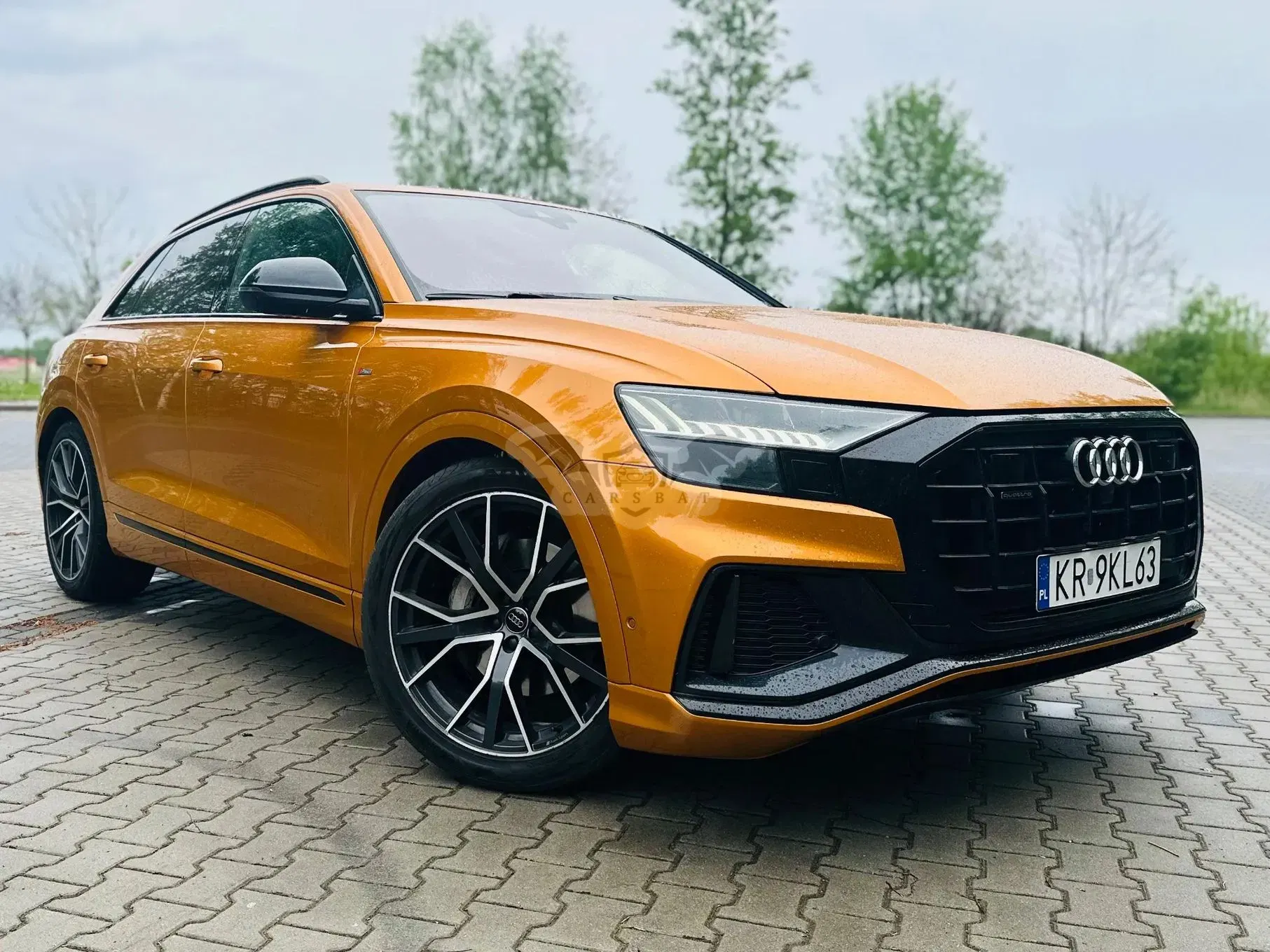 Audi Q8 50 TDI mHEV Quattro Tiptronic 2018