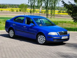 Skoda Octavia II 1.9 TDI DPF Ambiente 2007