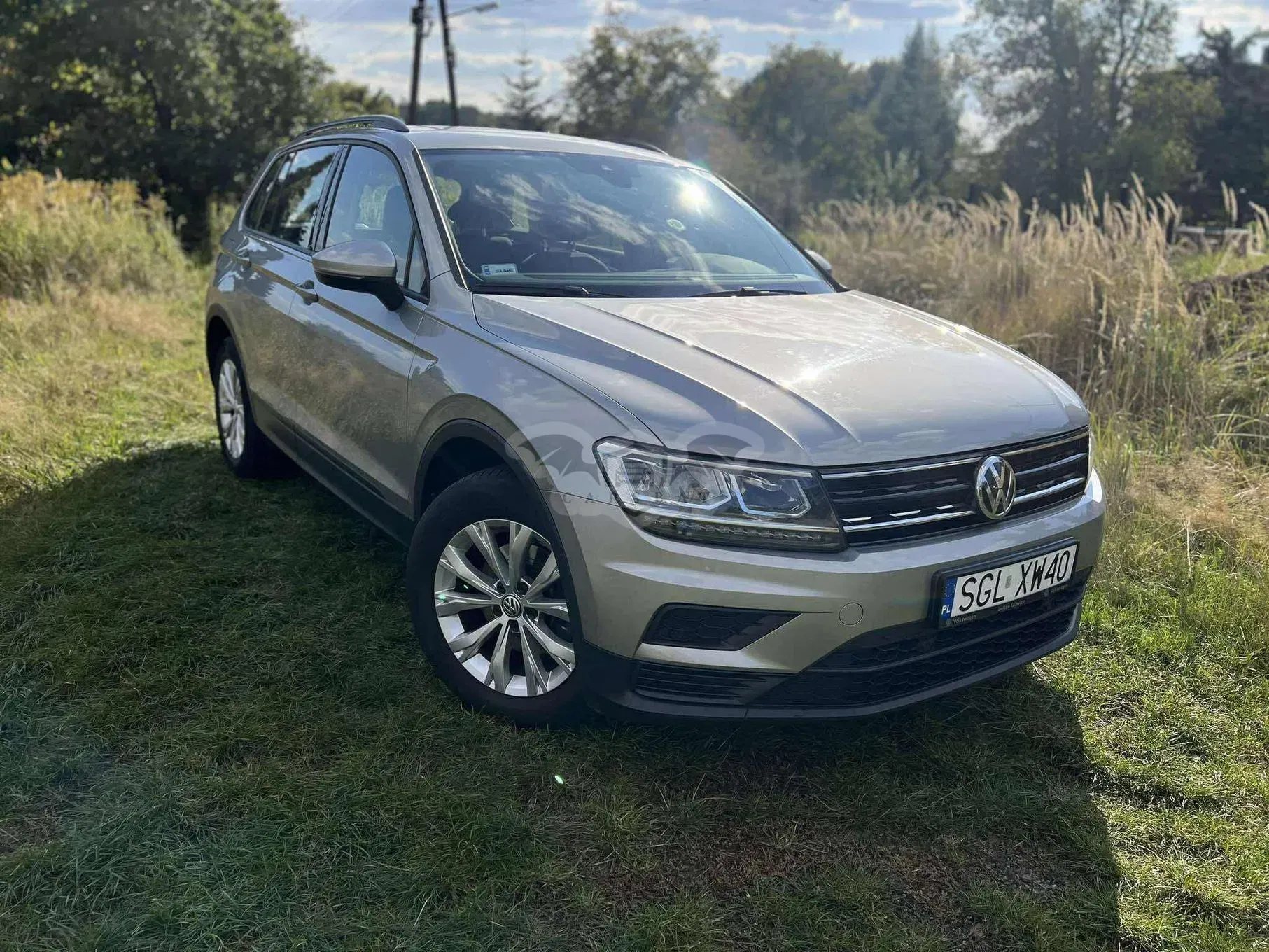Volkswagen Tiguan II 1.5 TSI EVO 2019