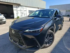 Lexus NX II 2024