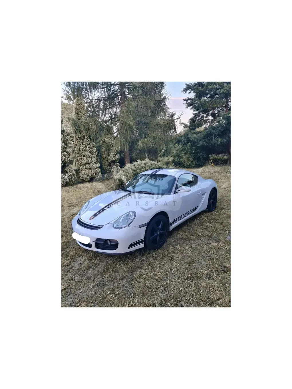 Porsche Cayman 2008