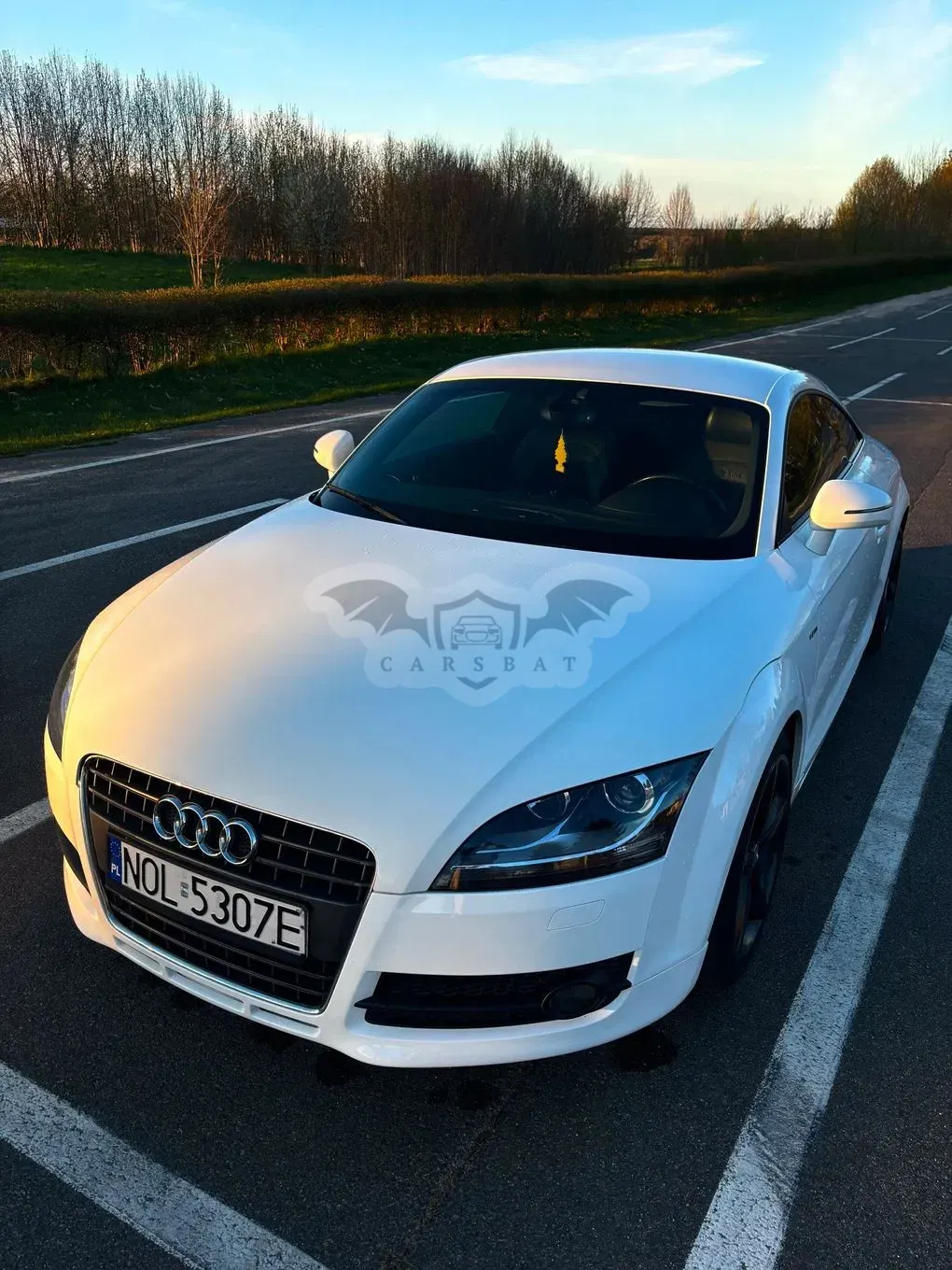 Audi TT 8J 2009