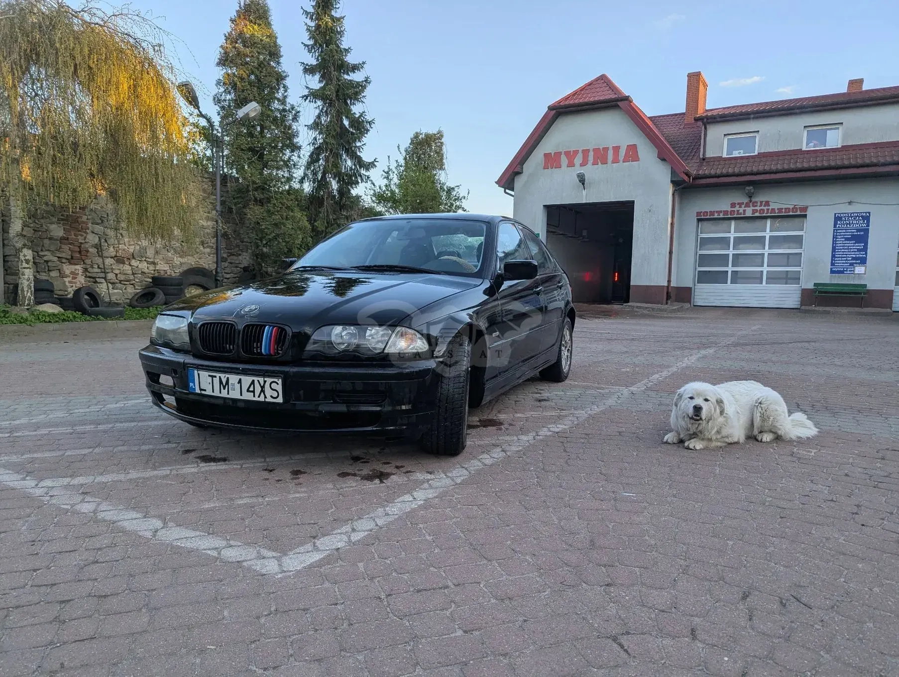 BMW 3 Series E46 316i 1999